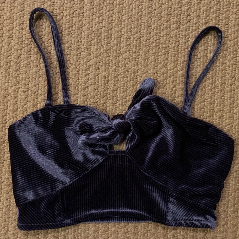 Small velvet free people crop top